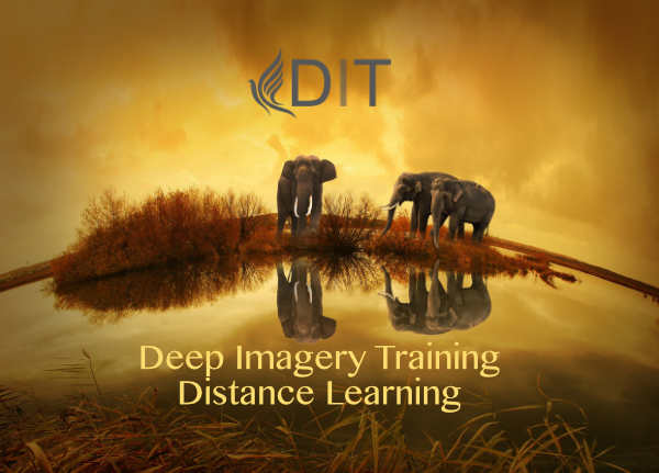 Deep Imagery Training Application 2021