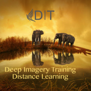 Deep Imagery Training: 3 Year Fee
