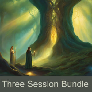Three Session Bundle